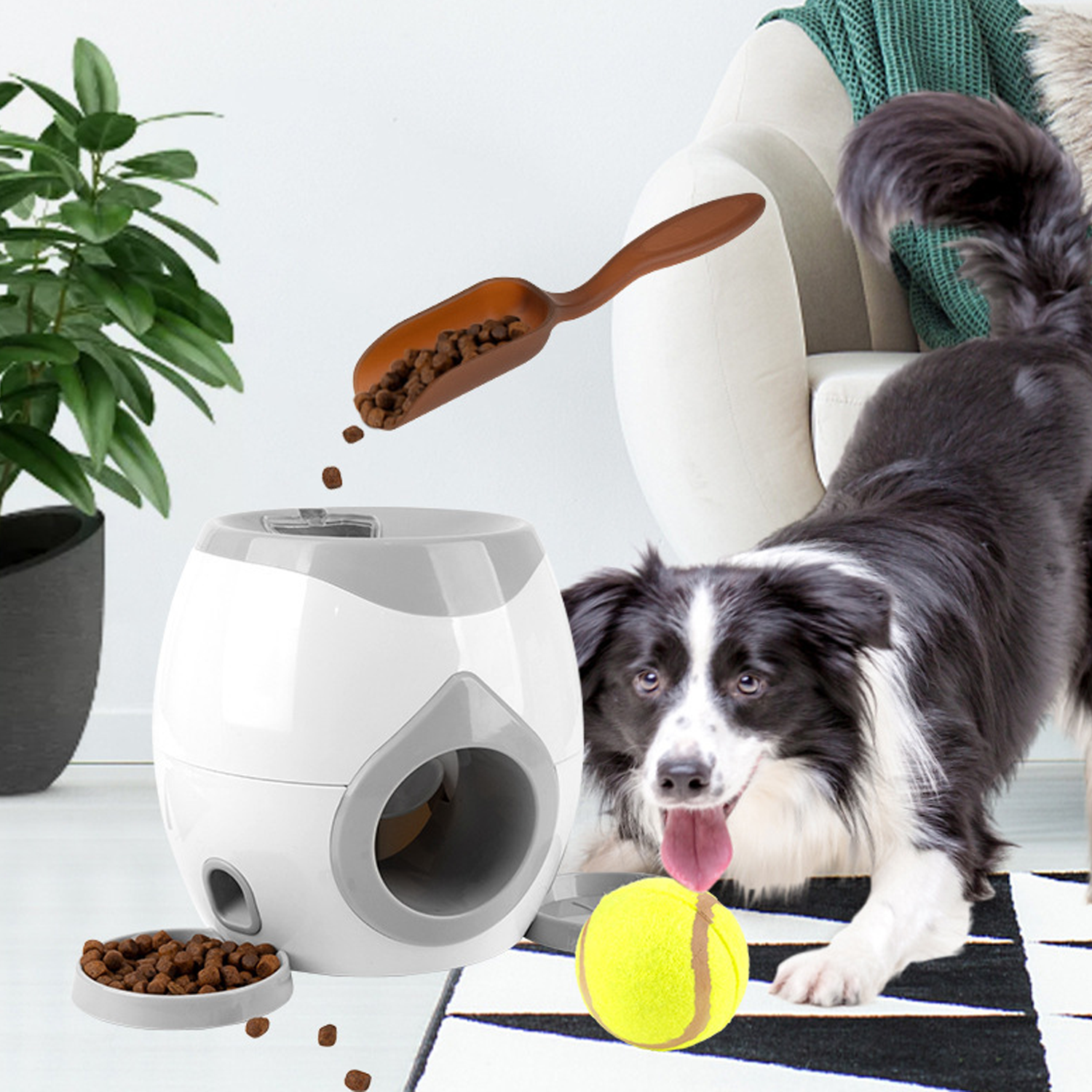 Pet Dog Feeder 5