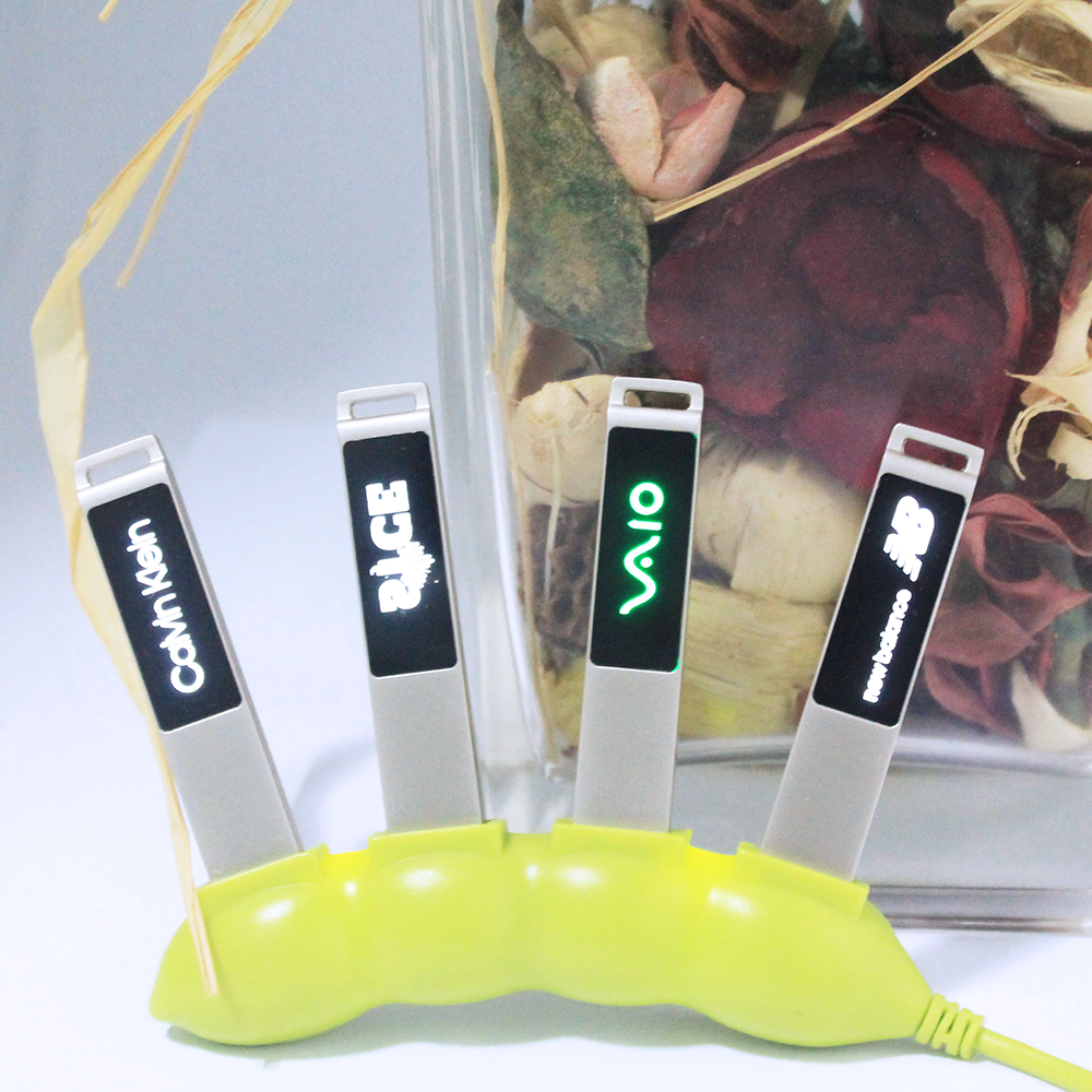 Buena Park Light-Up USB Flash Drive 3