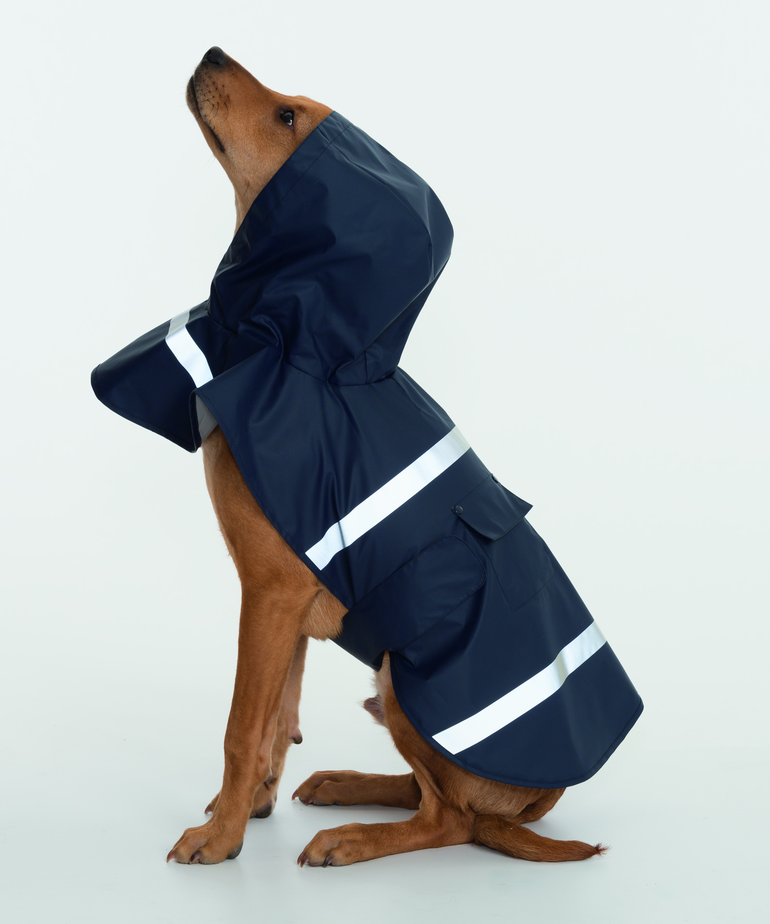 New Englander® Doggie Rain Jacket 8