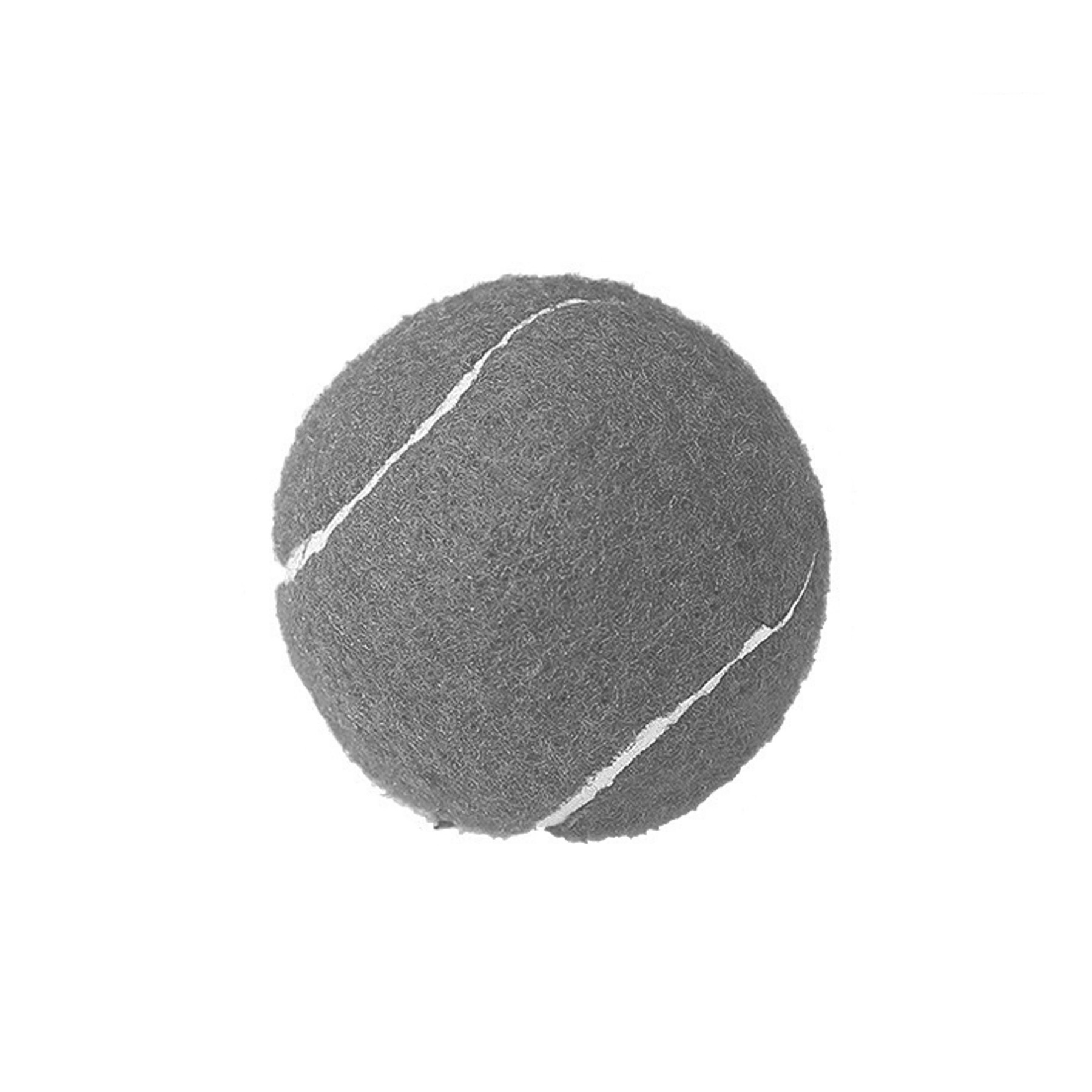 Pet Fetch Toy Tennis Ball 3