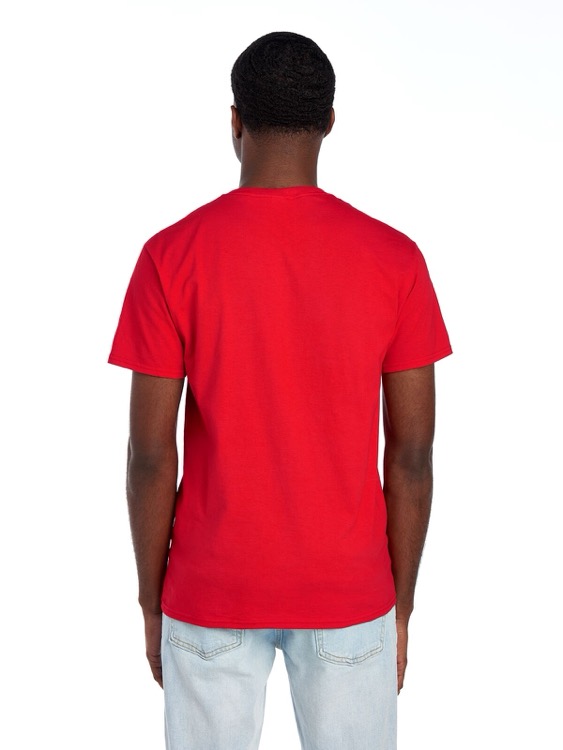 FRUIT OF THE LOOM HD Cotton™ Unisex T-Shirt 17