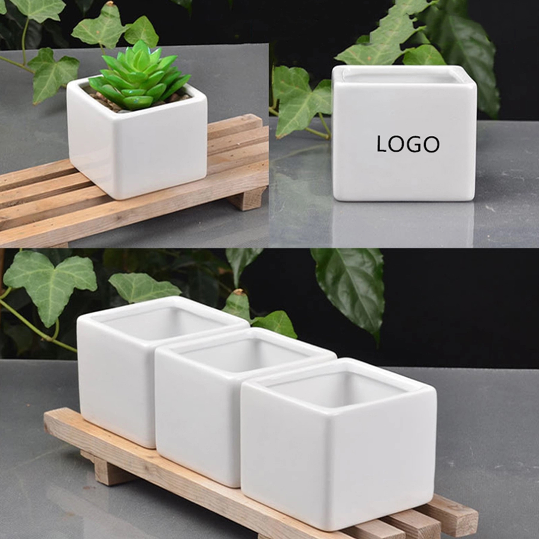 Mini Ceramic Plant Pots 1