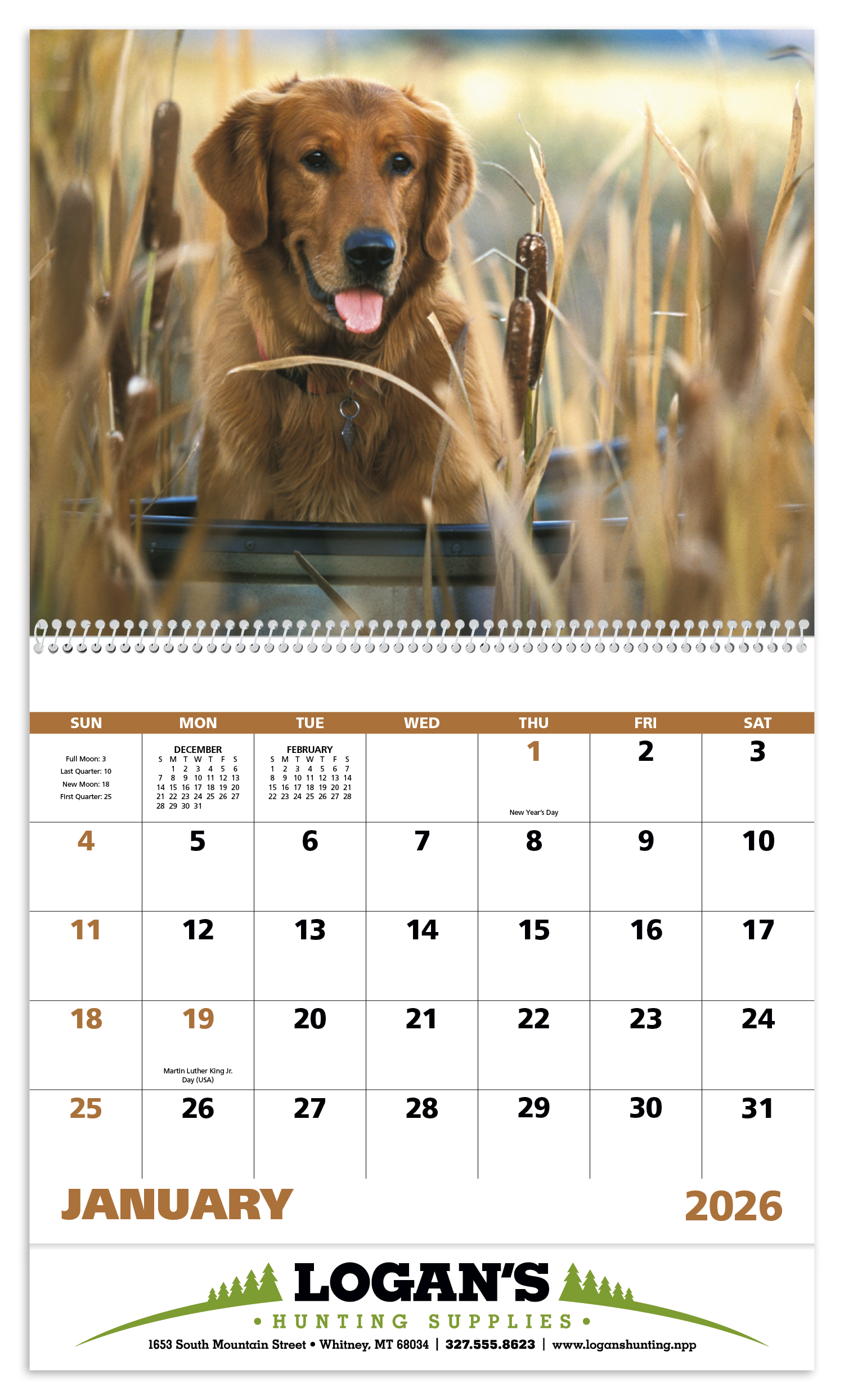 Good Value™ Sporting Dogs - Spiral Calendar 32