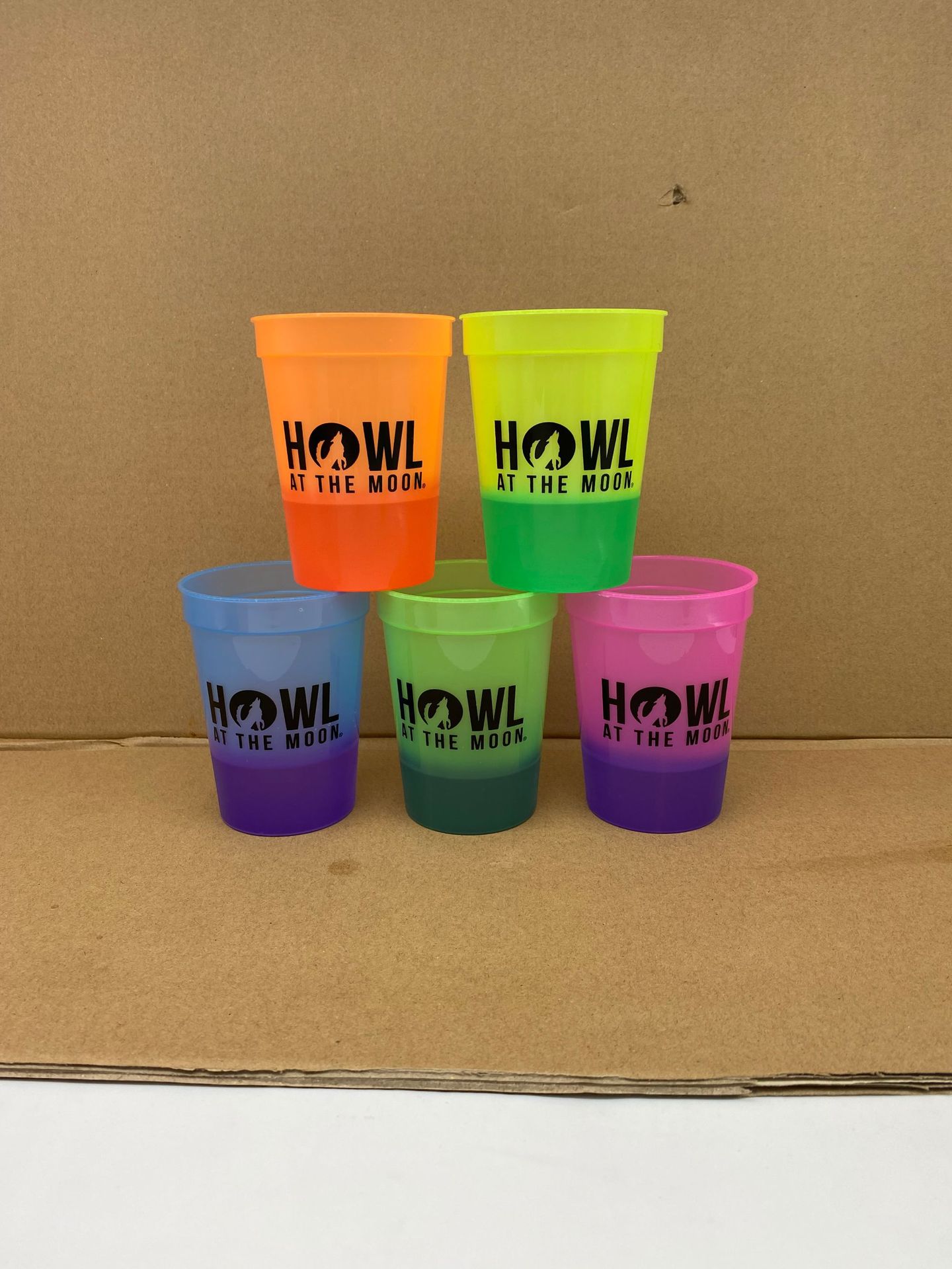 16oz. Plastic Stadium Cup (Color change) 3