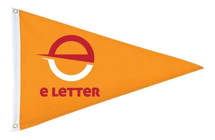 16"x24" Double-Side Imprint Triangle Pennant Flag 1