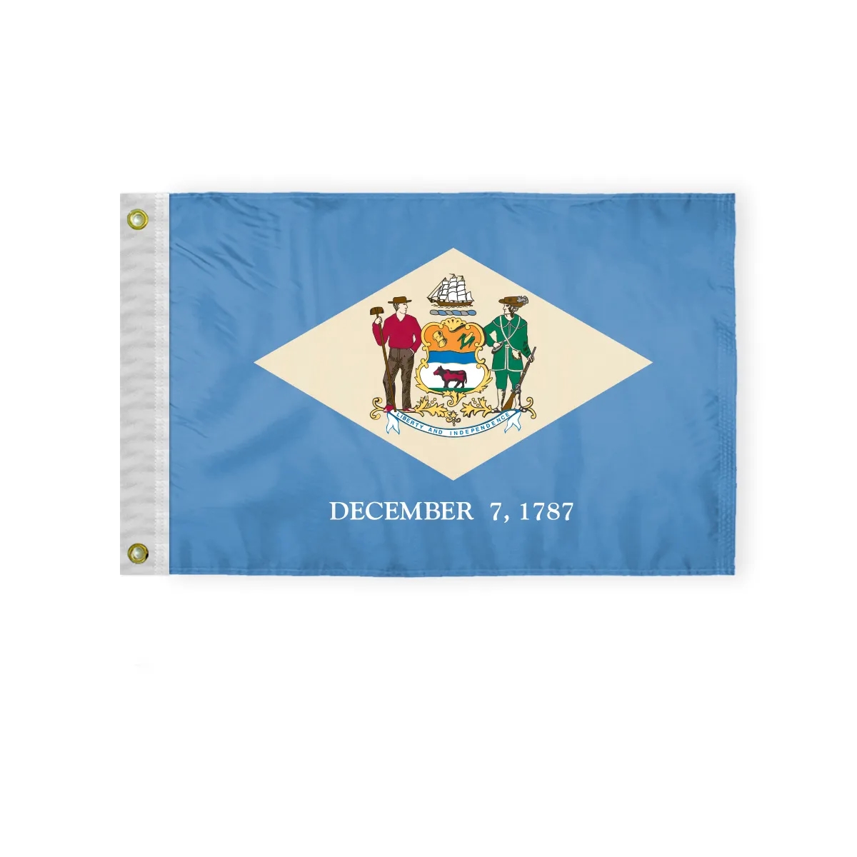12"x18" to 8'x12' Delaware Nylon Flags 4