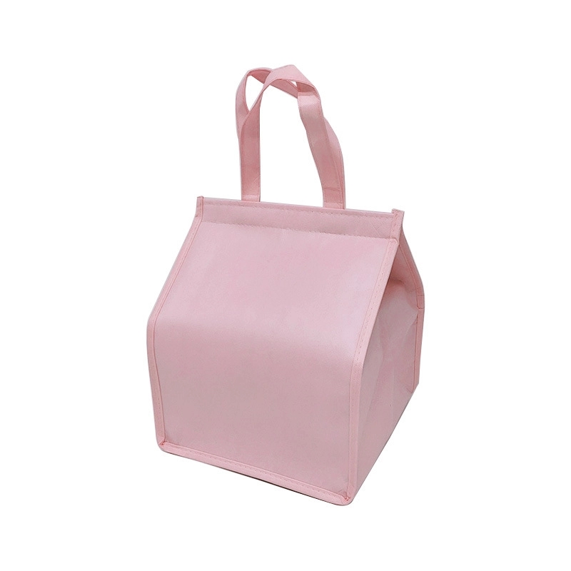 COOLER BAG 2