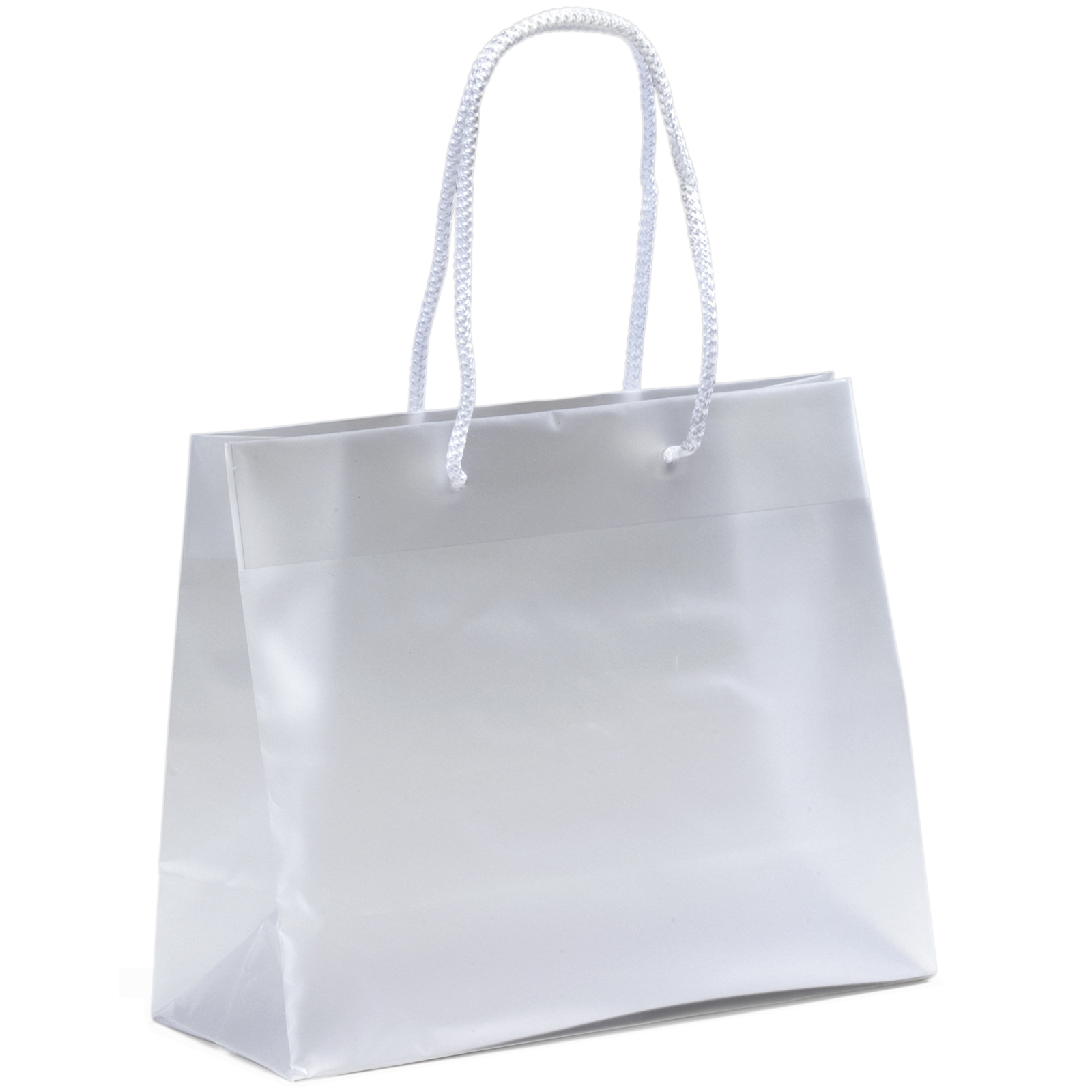 Pisces - Frosted Eurotote - Foil Print 3
