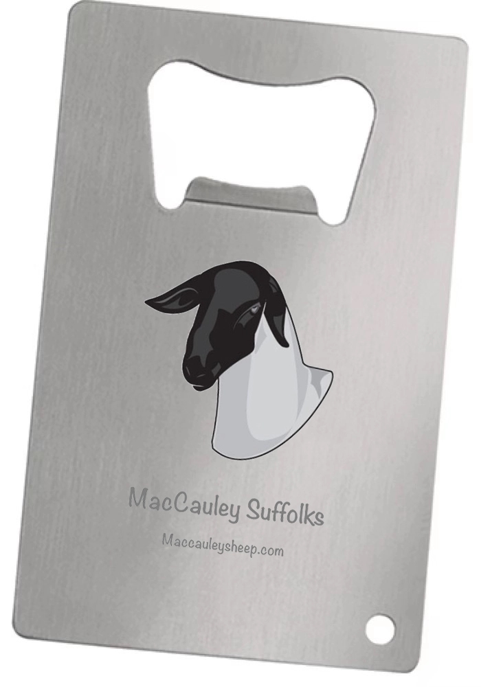 Metal Credit Card Size Bottle Openers 3