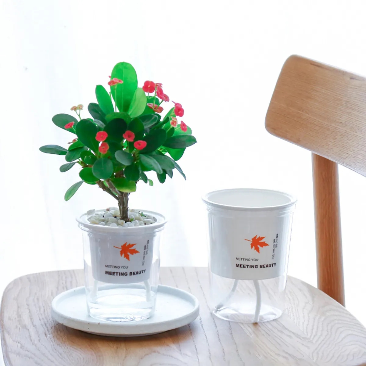 Self Watering Clear Resin Planter With Wick 2