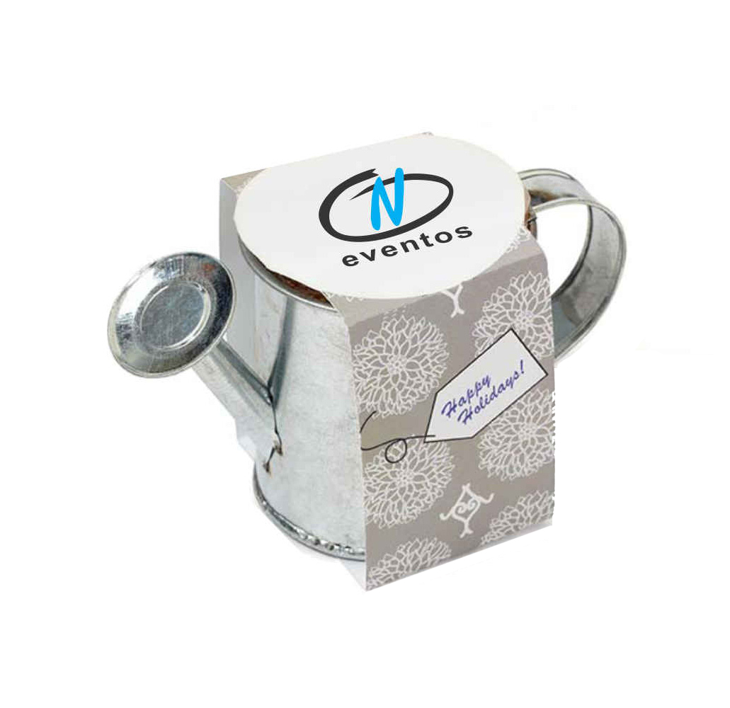 Seed Sensations Watering Can Planter w/Holiday Wrapper