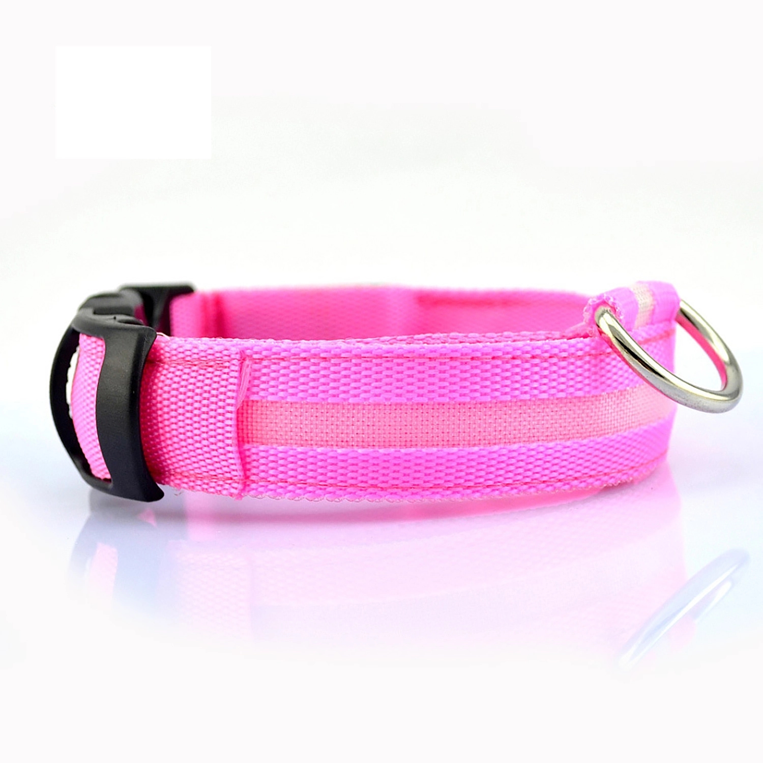 Led Dog Collar 2
