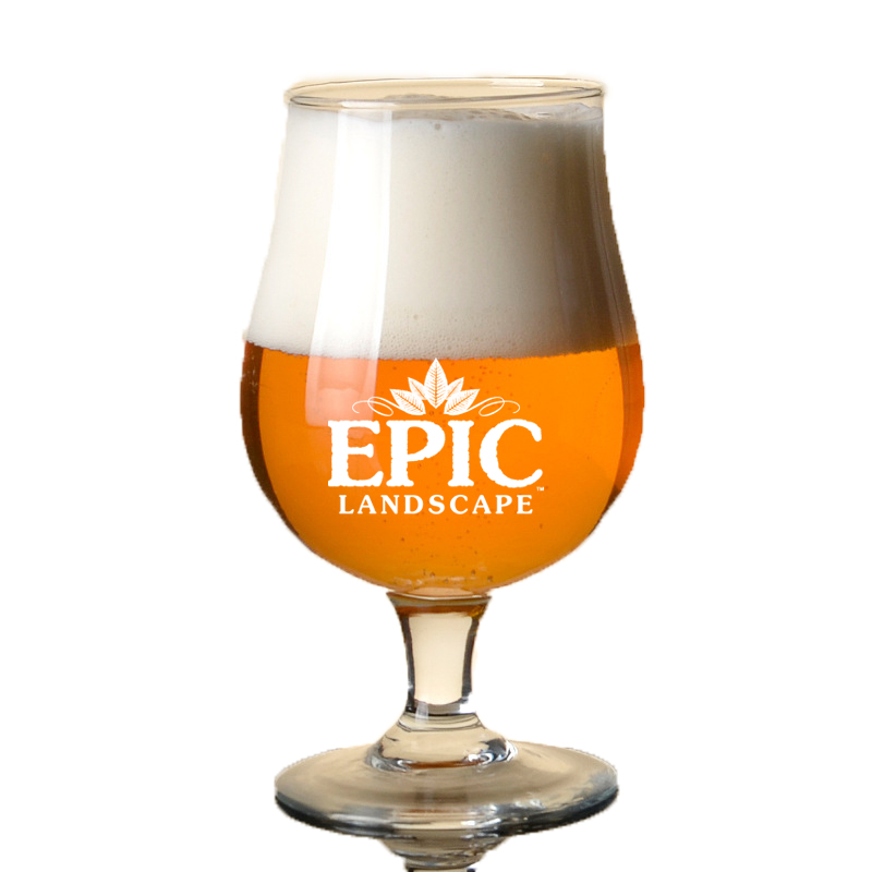 16oz Classic Beer Glass Tulip-shaped Glass 2