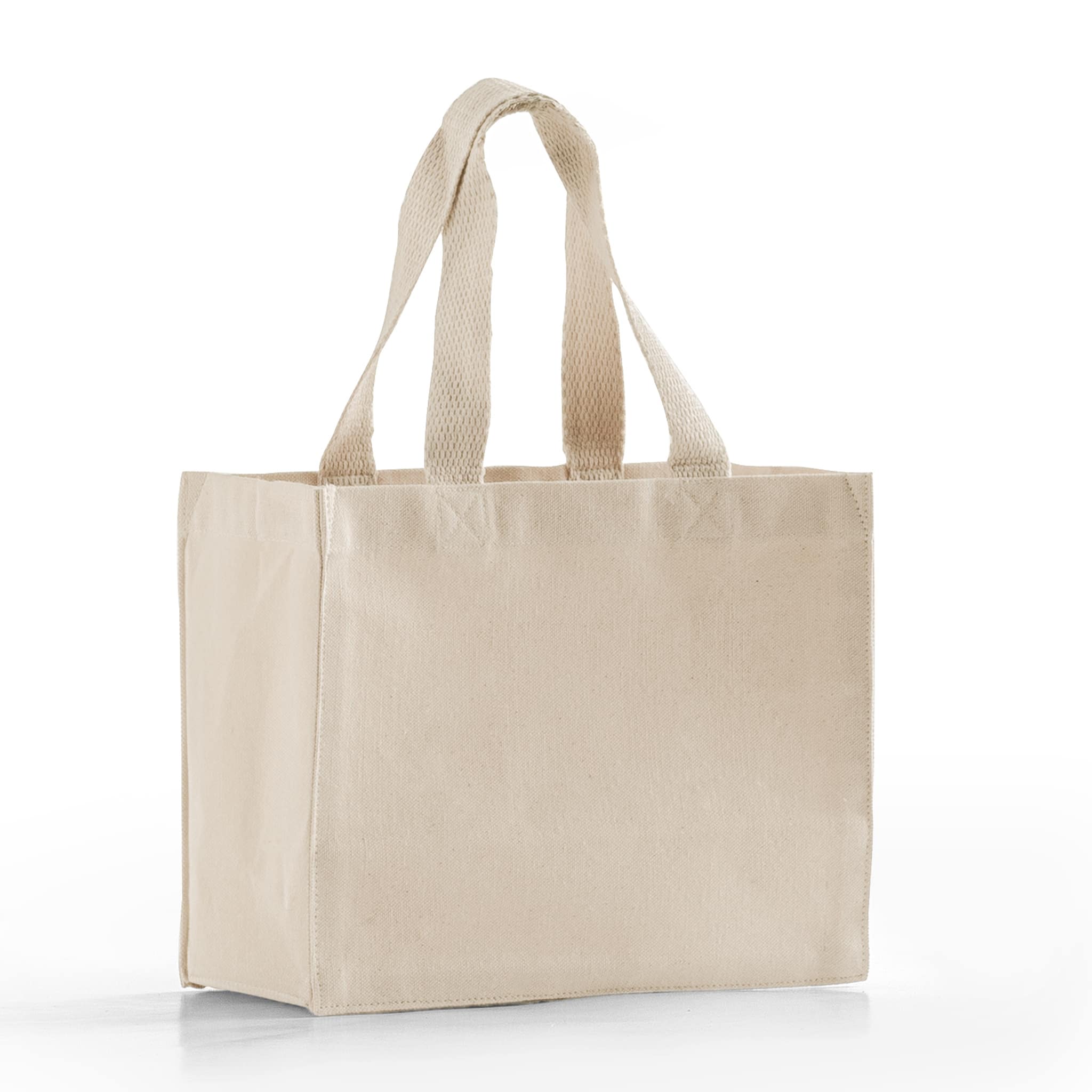 Small Square Canvas Tote (NEW STYLE) 5