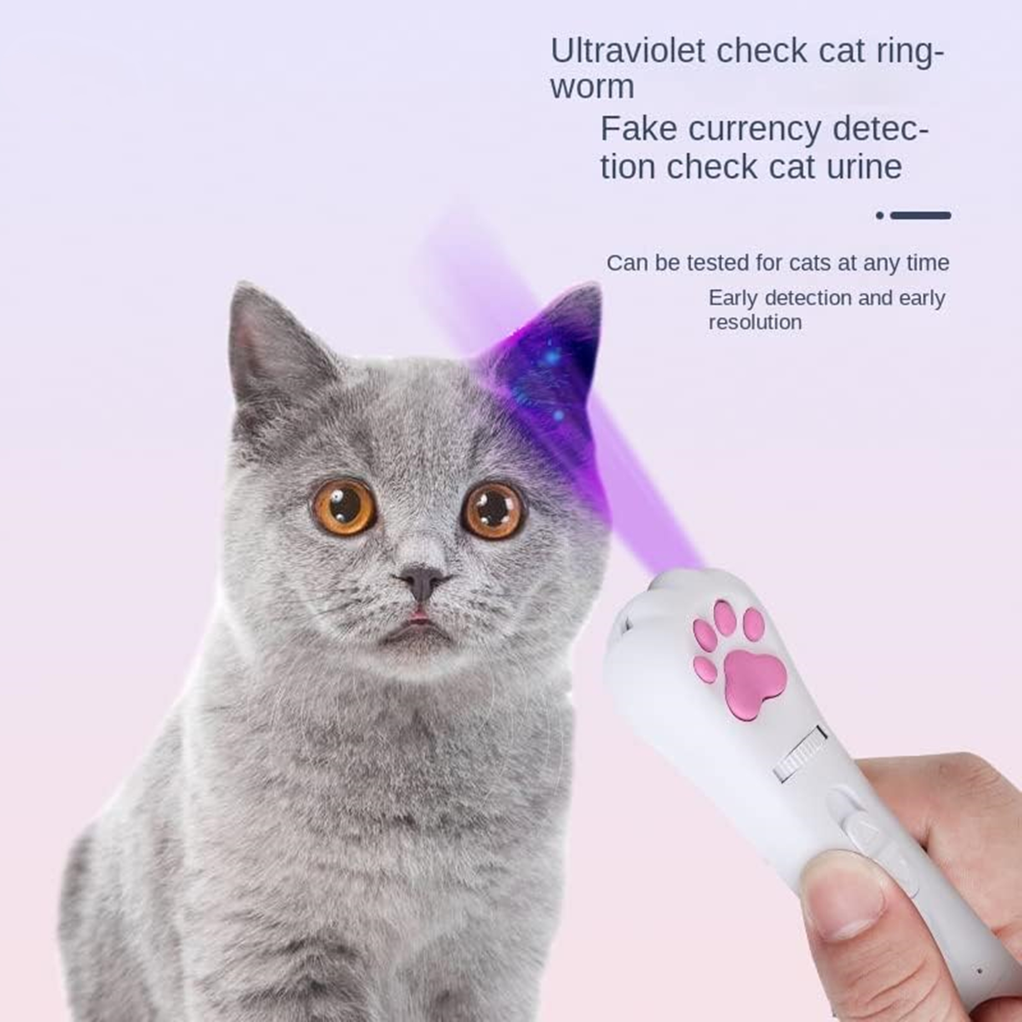 Mini Cat Toys LED Laser Pointer USB Rechargeable 2