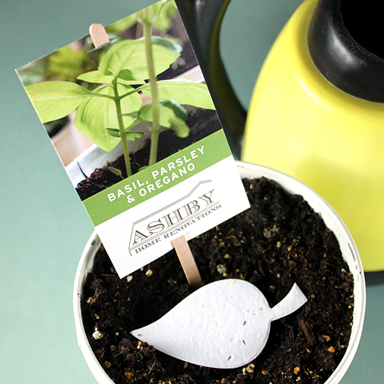 Pre-Designed Herb Seed Paper Planting Sticks 5