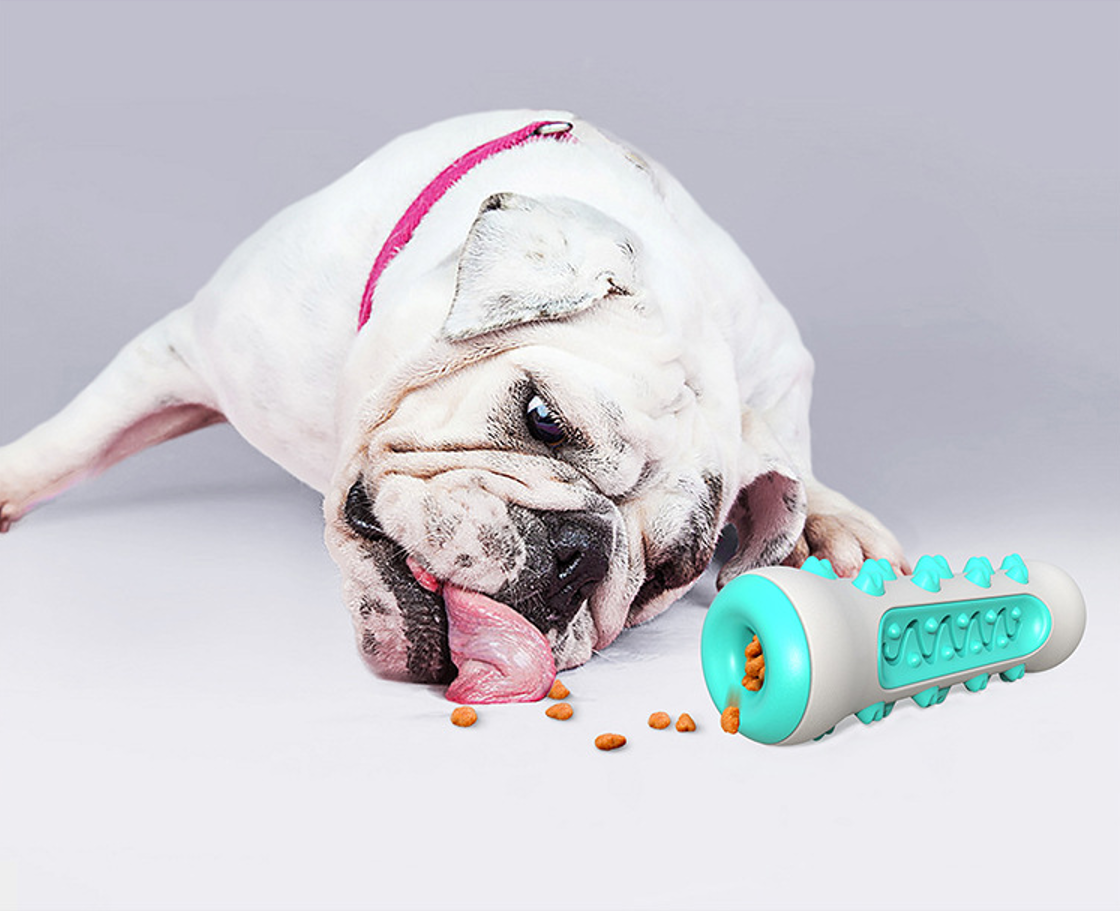 Dog molar rod 2