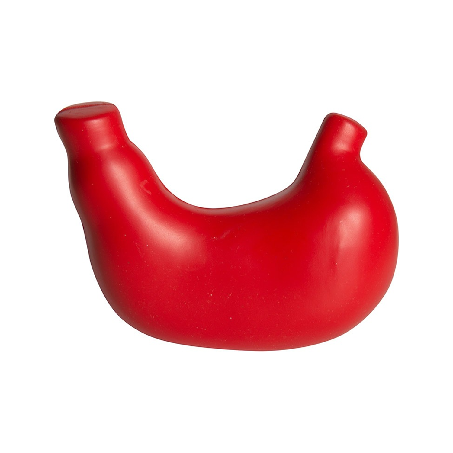 Foam Toy Stomach 3