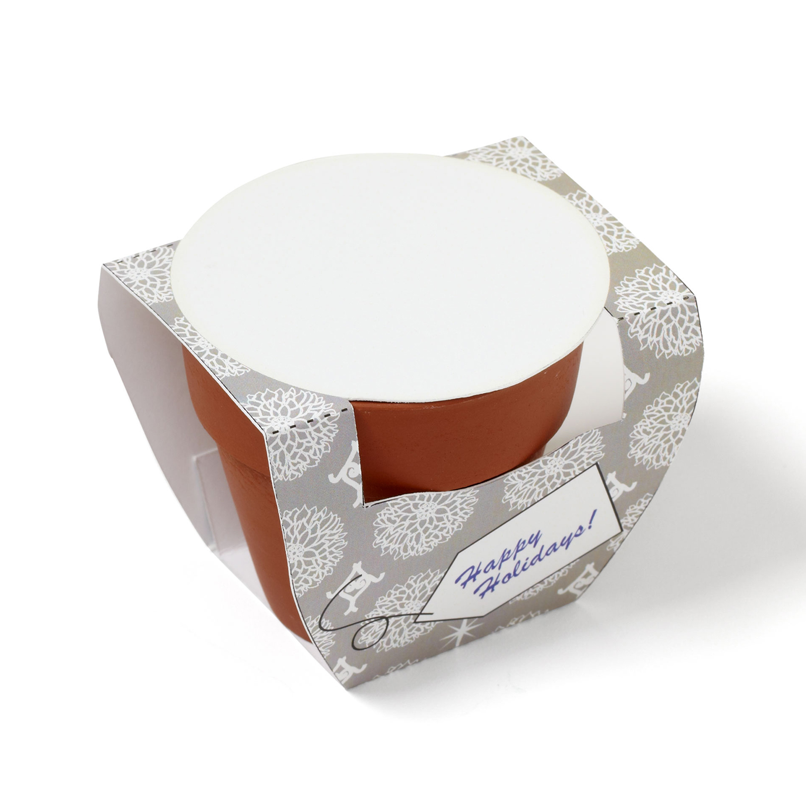 Seed Sensations Terracotta Pot w/Holiday Wrapper 2