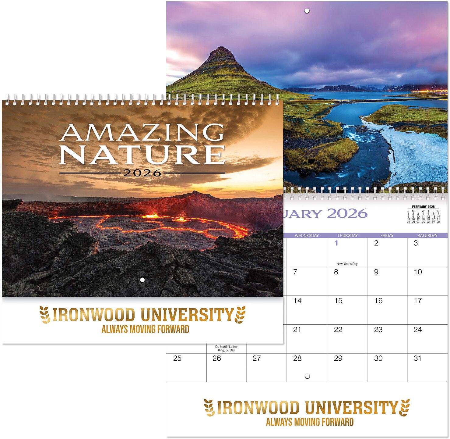 AMAZING NATURE SPIRAL WALL CALENDAR 20