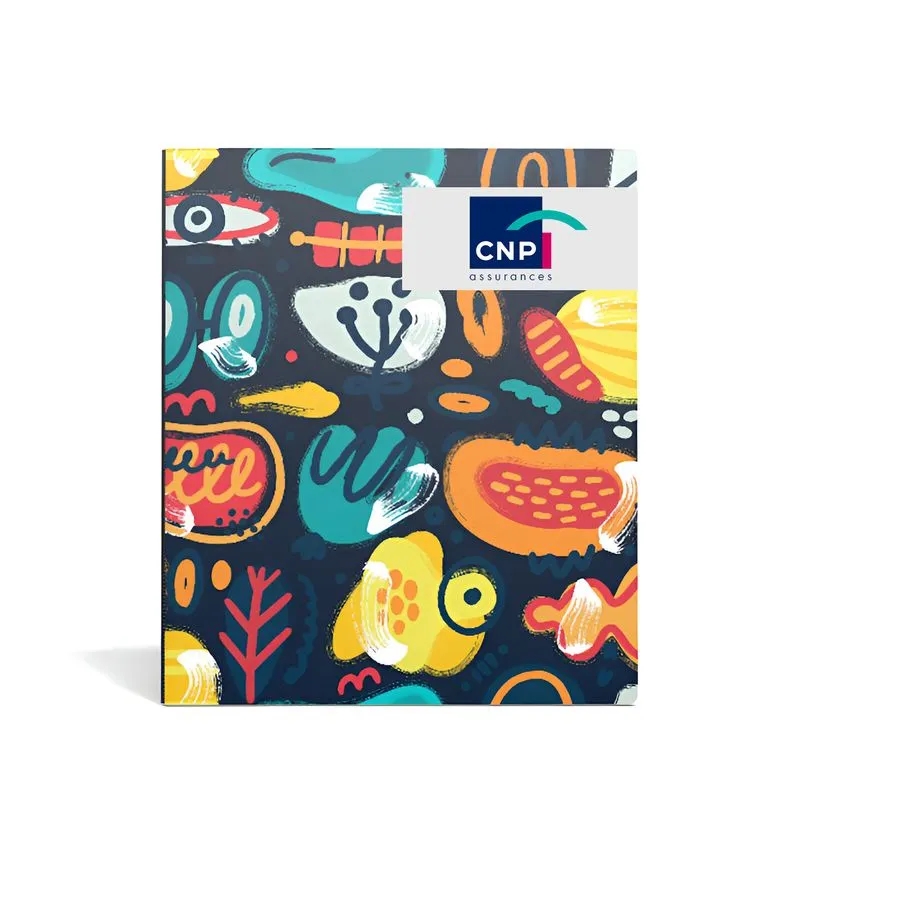 Plastic Binders 11