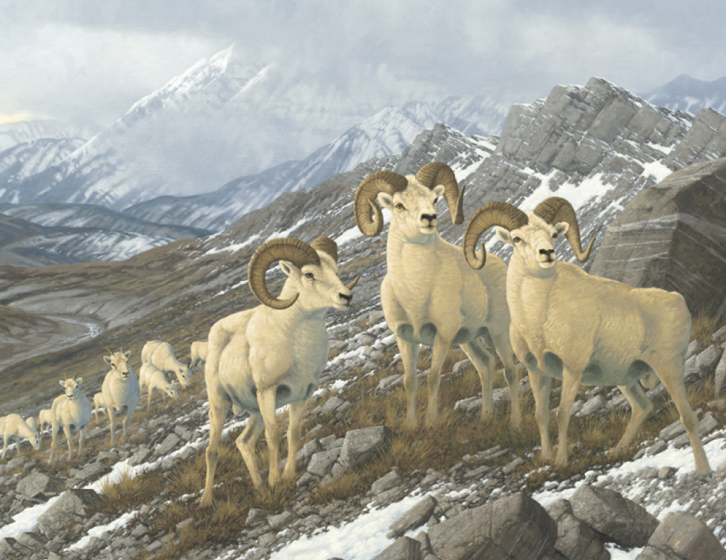 HotLine® Products Wildlife Collection Appointment Calendar - Stapled 9