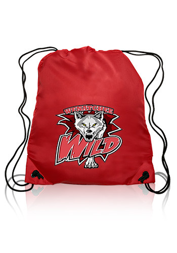 Classic Polyester Drawstring Bags 24