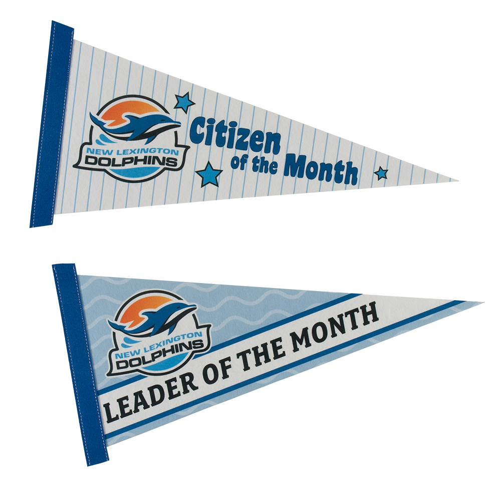 8" x 18" Full Color Felt Pennant 7