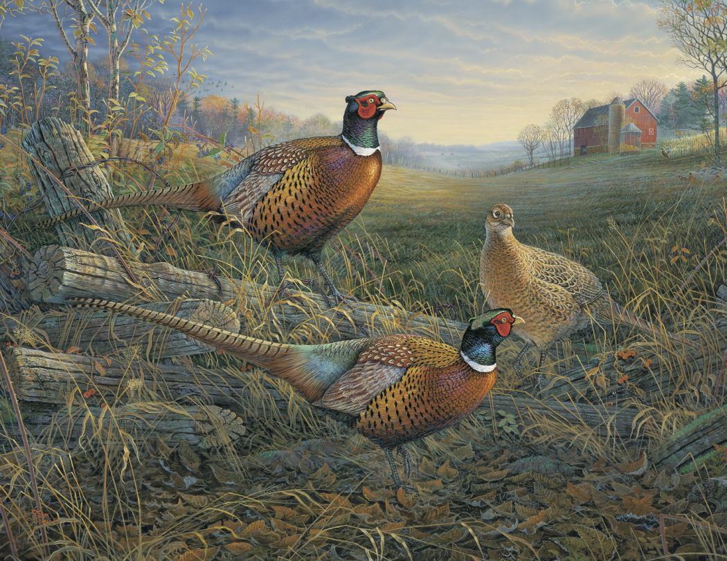 Triumph® Calendars Wildlife Art Calendar 11