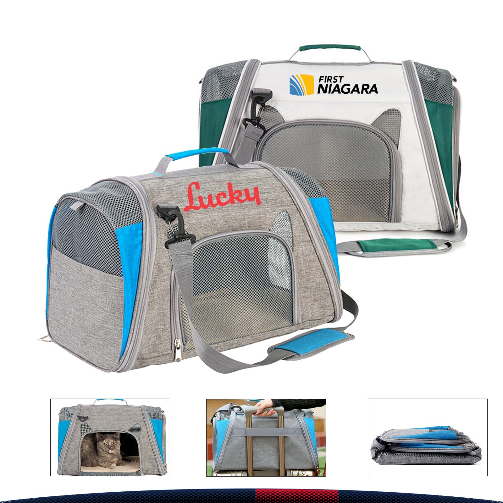 Mollan Pet Travel Bag 4