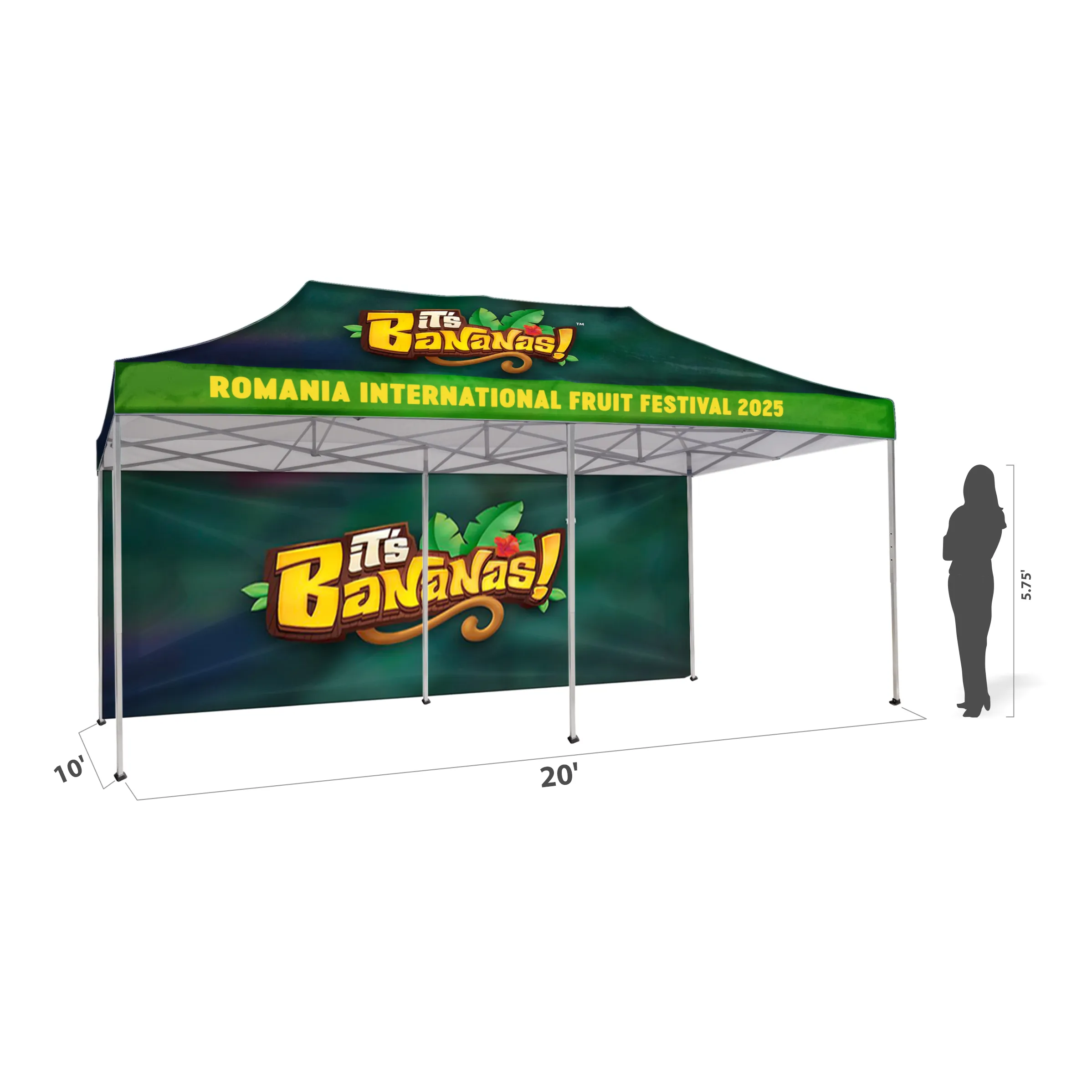 10'x20' Tent Canopy w frame, 1 long full wall 3
