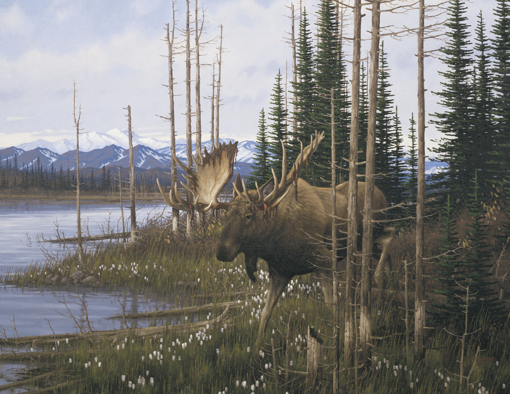 Triumph® Calendars Wildlife Art Calendar 22