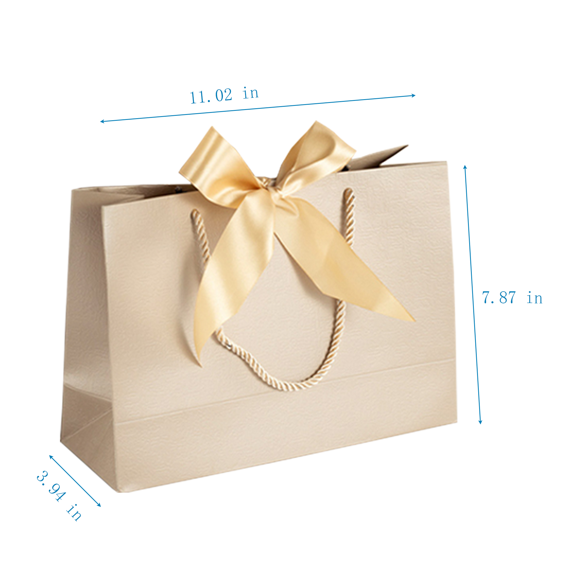 Stylish Paper Bag With Ribbon For Birthdays And Showers 2