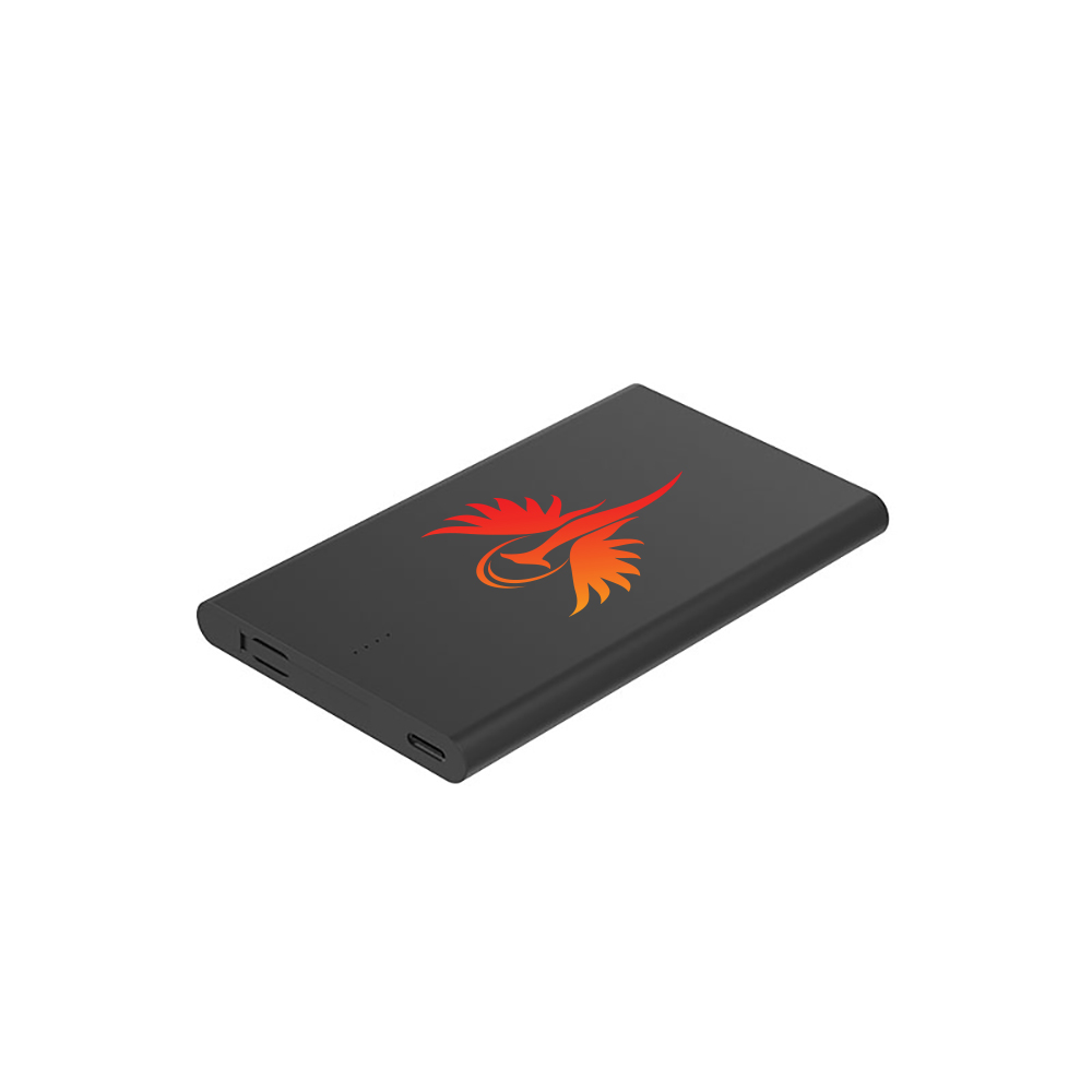 4000mAh Credit Card Power Bank with Built-In Type-C & 8-Pin Adapters for iPhone 2