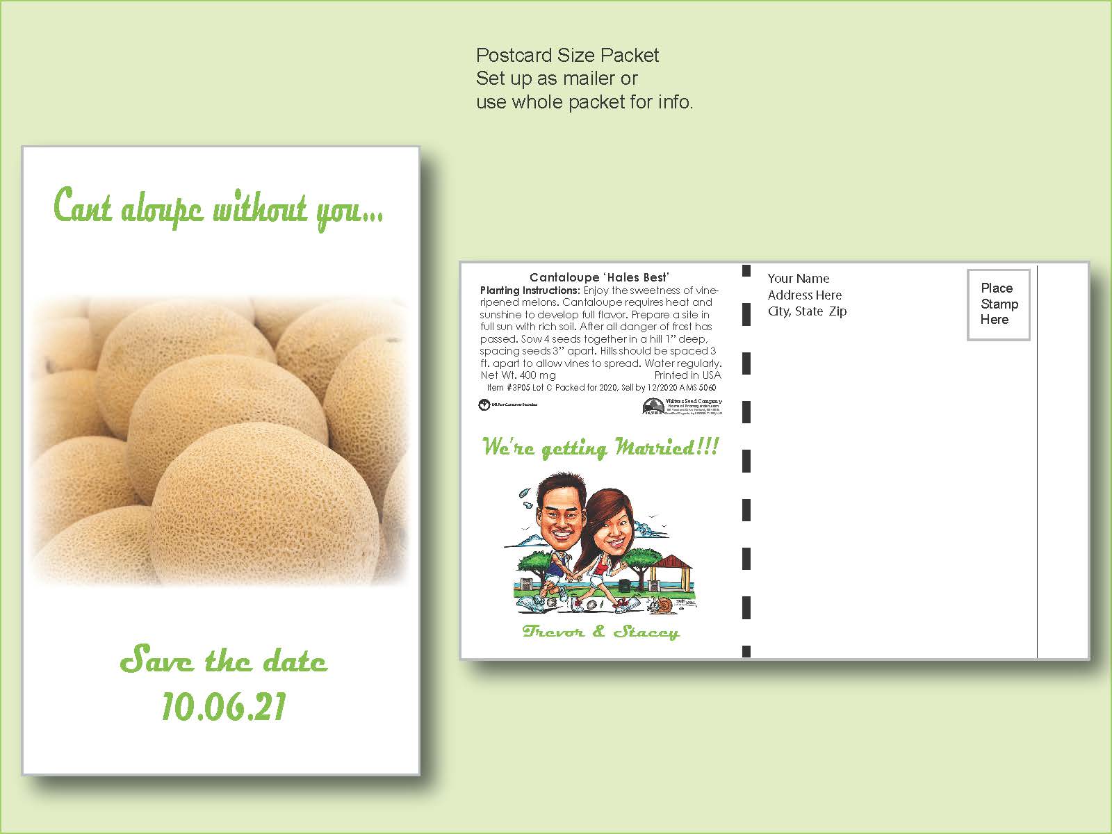 Cantaloupe 'Hale's Best' - Postcard Mailer Size 4" x 6.5" 2