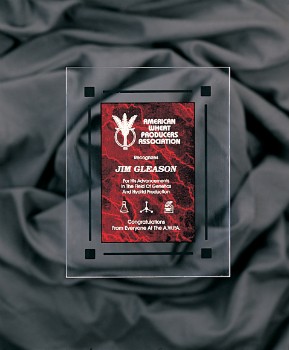7" x 9" Red Marble Acrylic Clear-Plaq Award 2