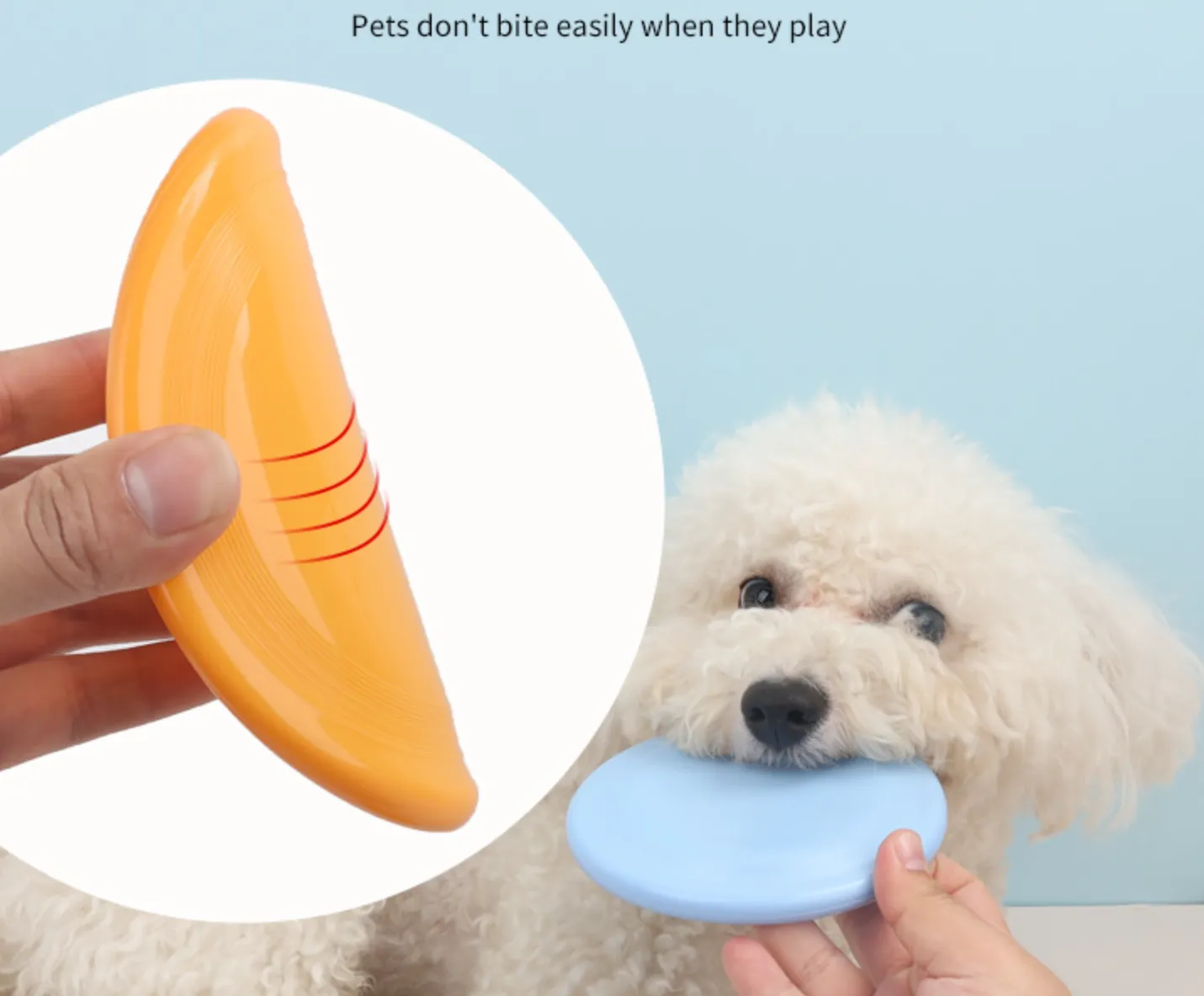Dog Flying Disc Outdoor Sport 6
