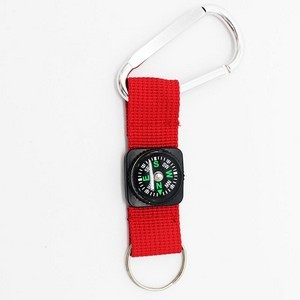 Carabiner With Compass 17