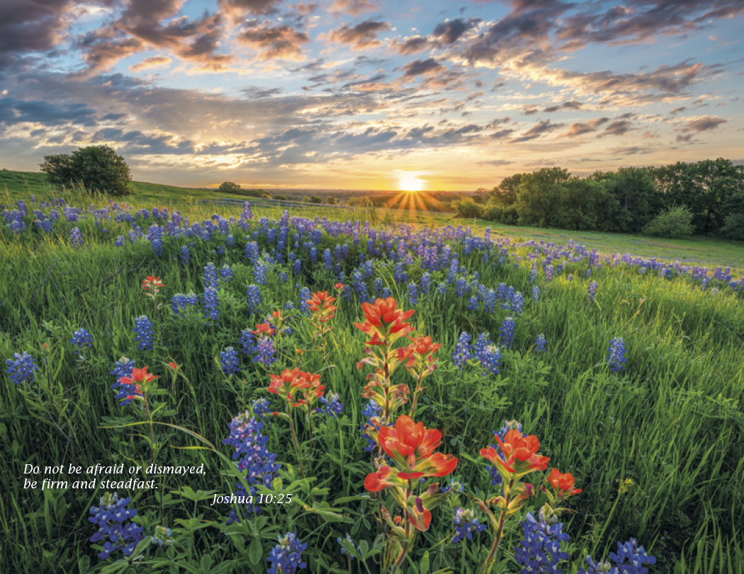 Triumph® Calendars Catholic Scenic Calendar 20