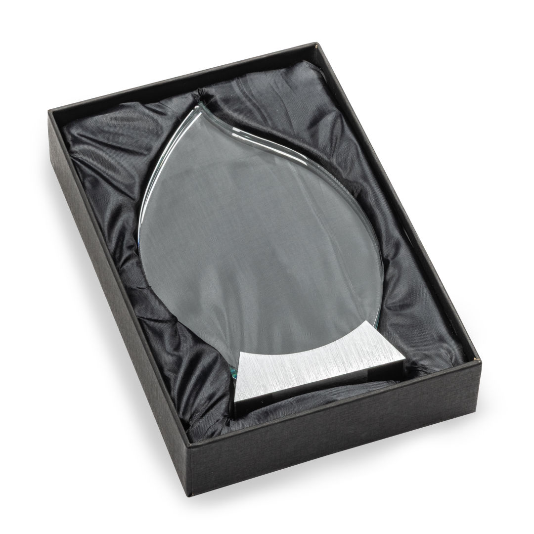 Carmack VividPrint™ Award 2