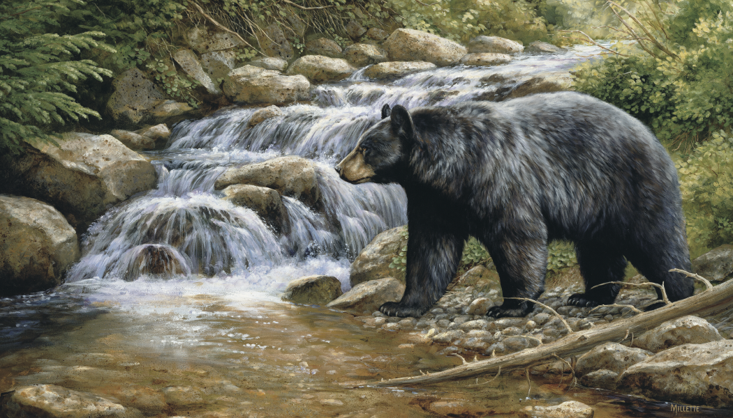 Triumph® Calendars Wildlife Art Calendar 2