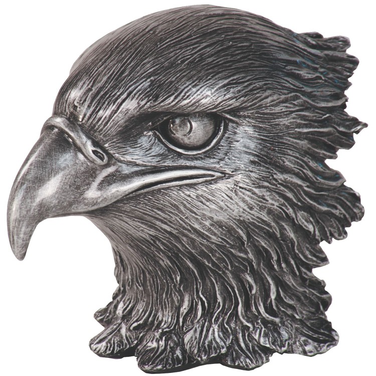 Eagle Leadership Award 15