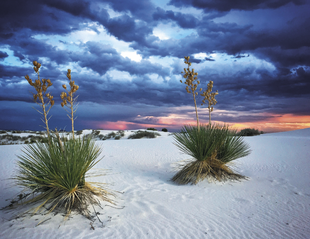 Good Value™ Rocky Mountains - Spiral Calendar 4