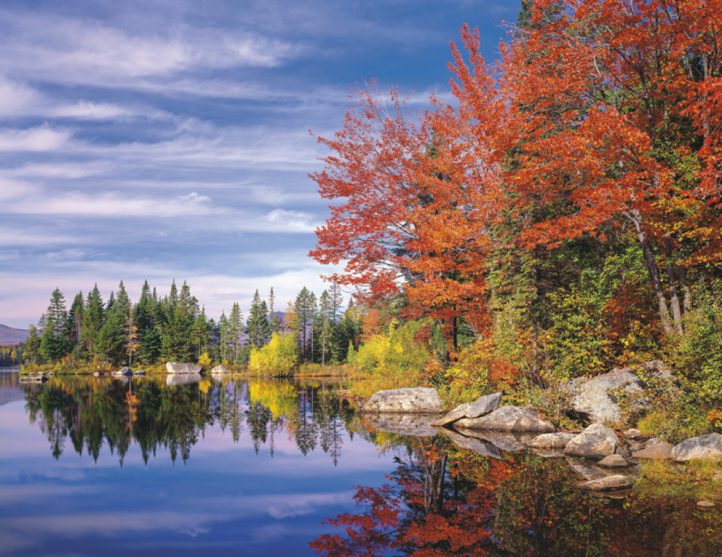 HotLine® Products New England Appointment Calendar - Spiral 15