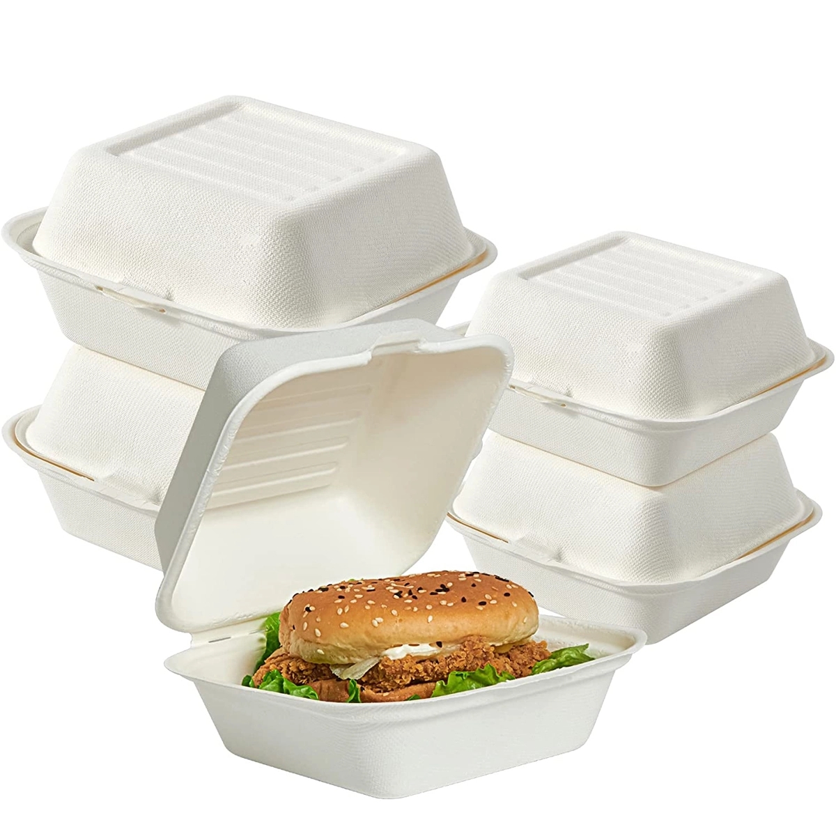 100% Compostable Biodegradable Take Out Container 1