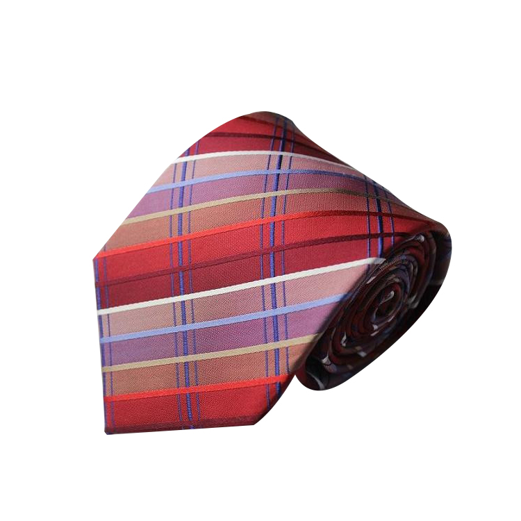 Polyester Neckties 2
