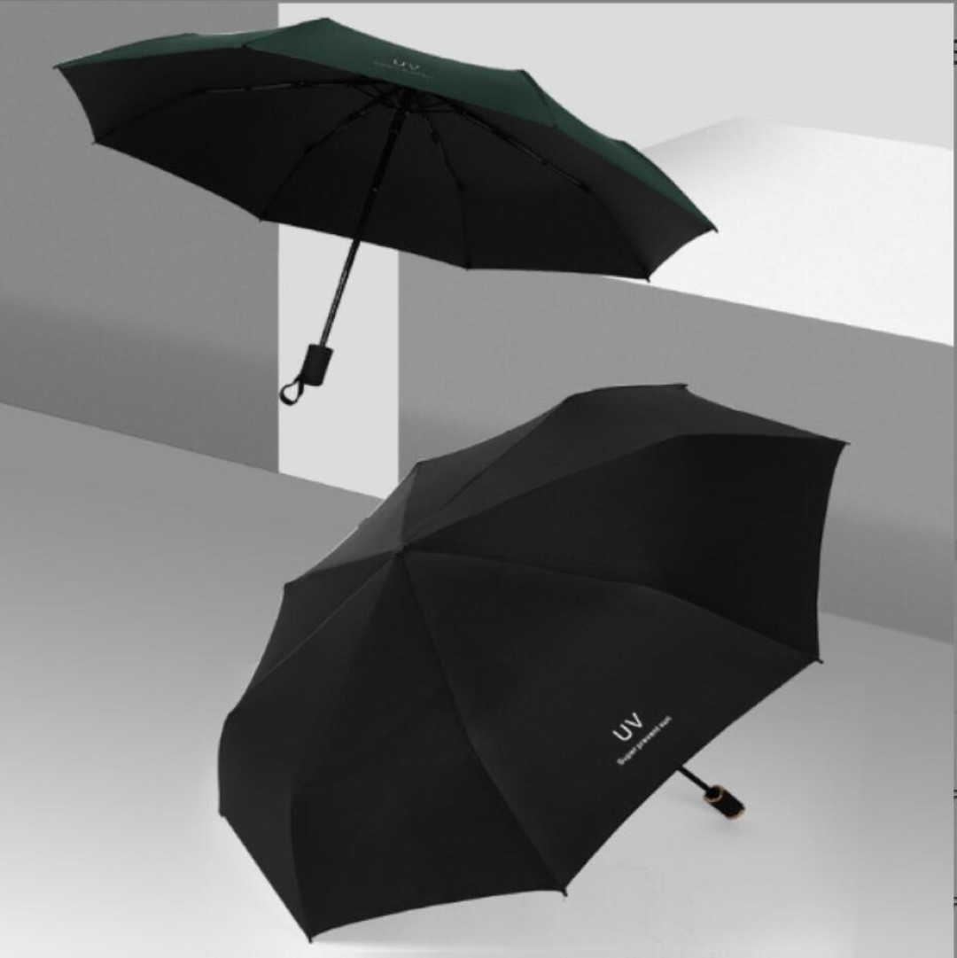 Folding Umbrella 1
