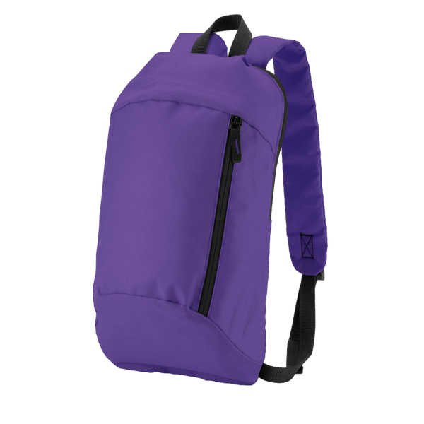 Budget Backpack 55