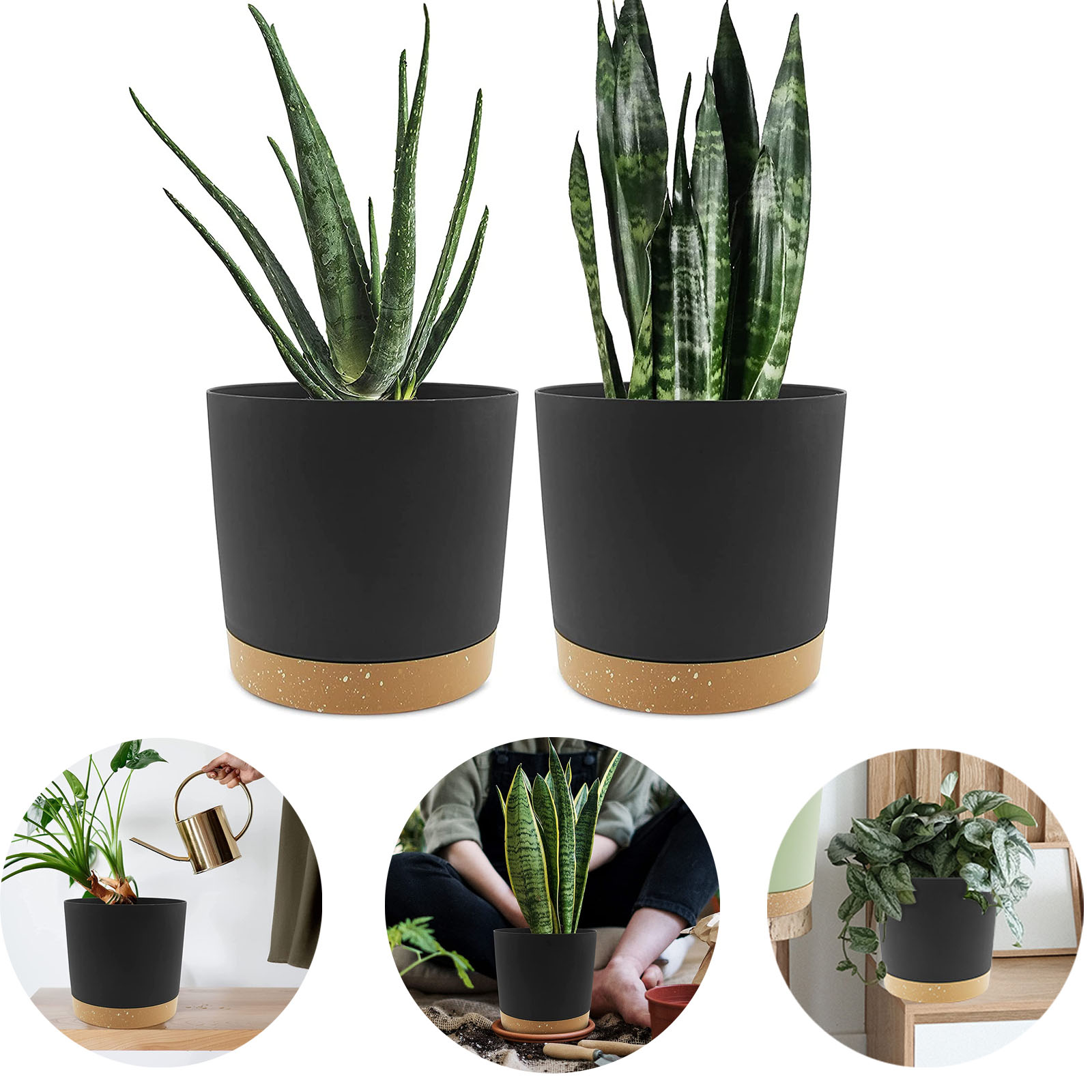 8" Planter for Indoor Plants with Drainage Holes and Removable Base 2