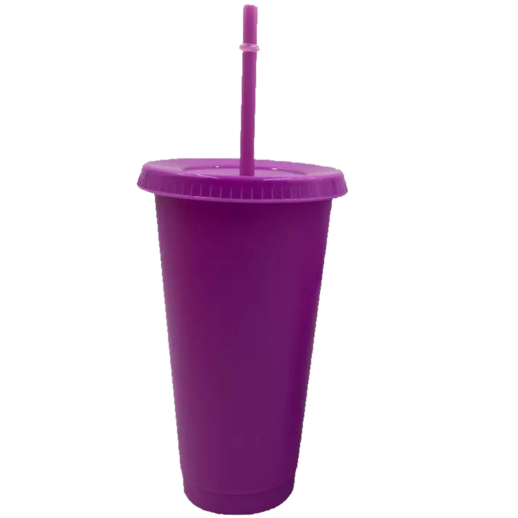 24OZ  Wall Water Cup with Lid and Straw 2
